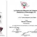 Ampliar imagen: certificate 1