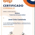 Ampliar imagen: certificate 17