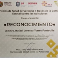 Ampliar imagen: certificate 13