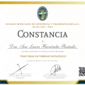 Ampliar imagen: certificate 5