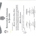 Ampliar imagen: certificate 5