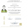 Ampliar imagen: certificate 4