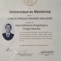 Ampliar imagen: certificate 2