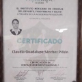 Ampliar imagen: certificate 11