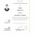 Ampliar imagen: certificate 5