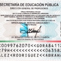Ampliar imagen: certificate 11