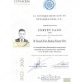 Ampliar imagen: certificate 1