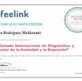 Ampliar imagen: certificate 7