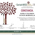 Ampliar imagen: certificate 9