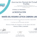 Ampliar imagen: certificate 3