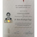Ampliar imagen: certificate 10