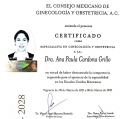 Ampliar imagen: certificate 2