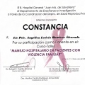 Ampliar imagen: certificate 27