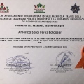 Ampliar imagen: certificate 11