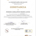 Ampliar imagen: certificate 3