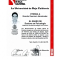 Ampliar imagen: certificate 3