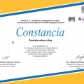 Ampliar imagen: certificate 5