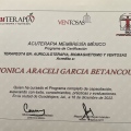 Ampliar imagen: certificate 2