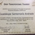 Ampliar imagen: certificate 3