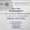 Ampliar imagen: certificate 16