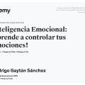 Ampliar imagen: certificate 8