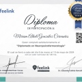 Ampliar imagen: certificate 6