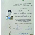 Ampliar imagen: certificate 3