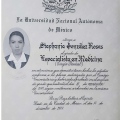 Ampliar imagen: certificate 3
