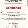 Ampliar imagen: certificate 2