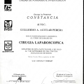Ampliar imagen: certificate 9