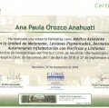 Ampliar imagen: certificate 4