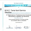 Ampliar imagen: certificate 7