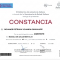 Ampliar imagen: certificate 13