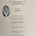 Ampliar imagen: certificate 3