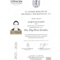 Ampliar imagen: certificate 4