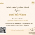 Ampliar imagen: certificate 3