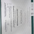 Ampliar imagen: certificate 3