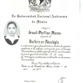 Ampliar imagen: certificate 6