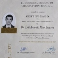 Ampliar imagen: certificate 4
