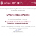 Ampliar imagen: certificate 4