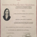 Ampliar imagen: certificate 1