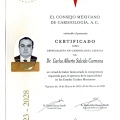 Ampliar imagen: certificate 1