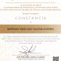 Ampliar imagen: certificate 3