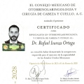 Ampliar imagen: certificate 3