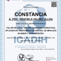 Ampliar imagen: certificate 6