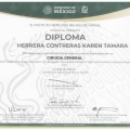 Ampliar imagen: certificate 5