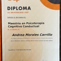 Ampliar imagen: certificate 3