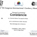 Ampliar imagen: certificate 10