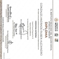 Ampliar imagen: certificate 4