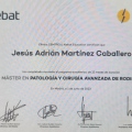 Ampliar imagen: certificate 1